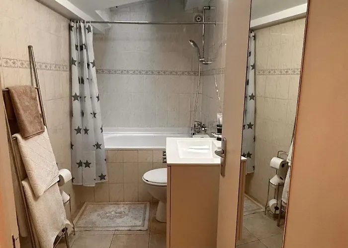 Duplex 12eme Pres De Nation Daire Paris